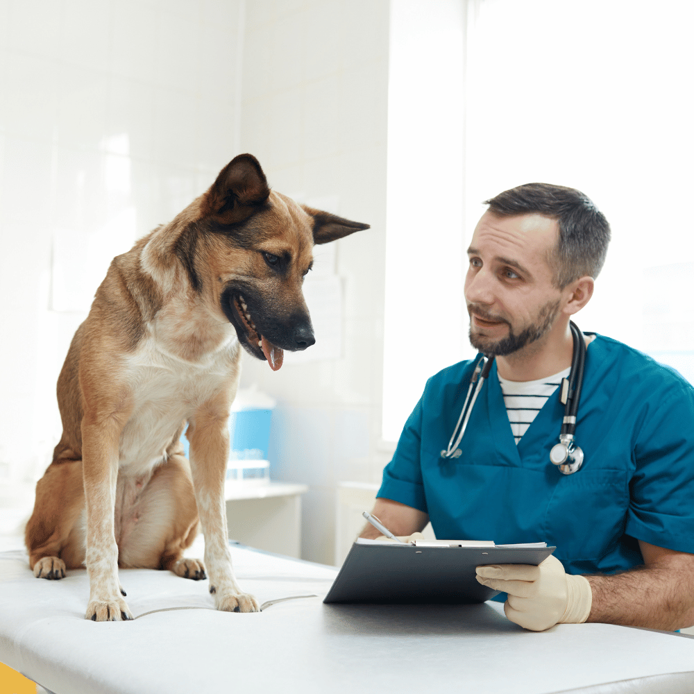 Cuidador feliz con un perro